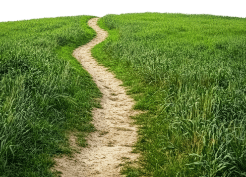 Winding dirt path through a lush green meadow, cut out - stock . png