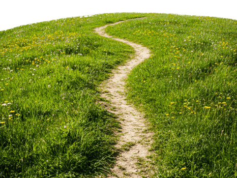 Meadow path in vibrant spring green, cut out - stock . png