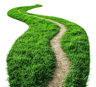 Winding trail through lush green grass landscape, cut out - stock . png