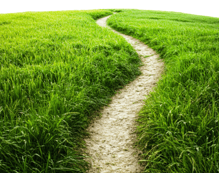 Walking path through lush green grass in daylight, cut out - stock . png