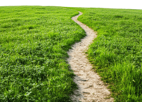 Winding path through lush green grass in daylight, cut out - stock . png