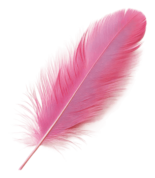 Bright pink feather lying flat on a surface, cut out - stock . png