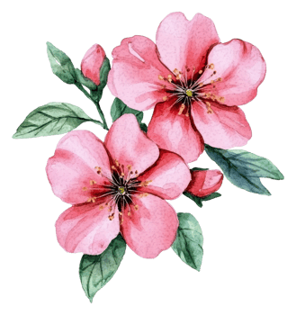 Pink flowers, green leaves, white bg, cut out - stock . png