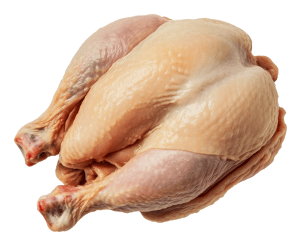 Raw whole chicken on white background, cut out - stock . png