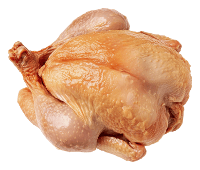 Whole raw chicken ready for preparation in kitchen, cut out - stock . png