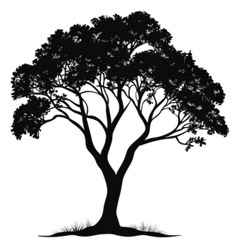 Large tree silhouette on white background, cut out - stock . png