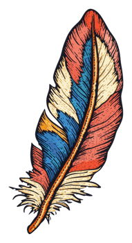 Detailed colorful feather illustration, cut out - stock . png