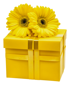 Bright yellow gift box with flowers on top, cut out - stock . png