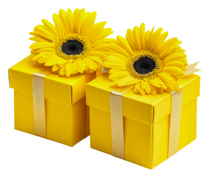 Bright yellow gift boxes with sunflowers on top, cut out - stock . png