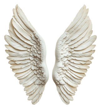 White angel wings sculpture on display, cut out - stock . png