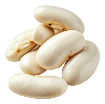 Creamy white beans on a plain background, cut out - stock . png