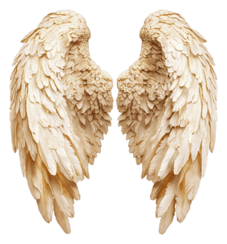 Indoor display of carved angel wings, cut out - stock . png