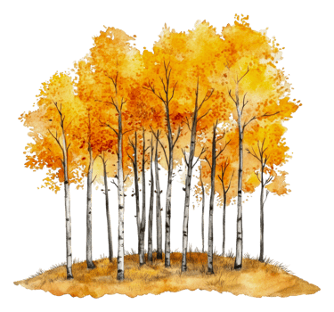 Vibrant autumn trees on a tranquil hill, cut out - stock . png
