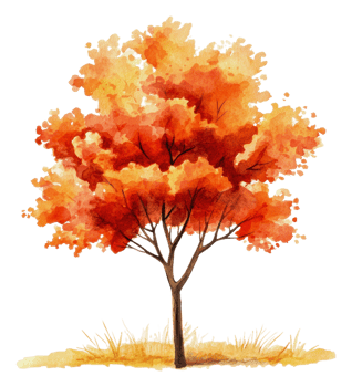Orange-leaved tree in peaceful autumn, cut out - stock . png