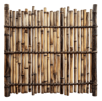 Natural bamboo fence in sunny garden, cut out - stock . png