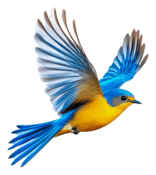 Colorful bird flying over bright backdrop, cut out - stock . png