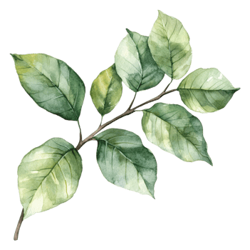 Watercolor leafy branch with varying green shades, cut out - stock . png