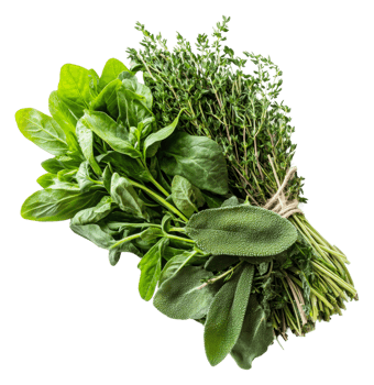 Fresh herbs and greens gathered for cooking, cut out - stock . png