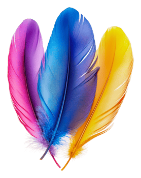 Colorful feathers arranged in a decorative display, cut out - stock . png