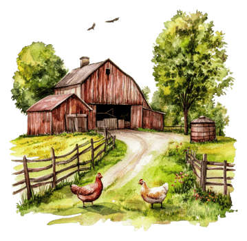 Chickens roaming near a rustic barn on a sunny day, cut out - stock . png