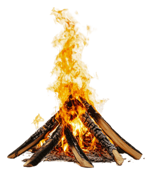 Evening campfire with logs ablaze, cut out - stock . png