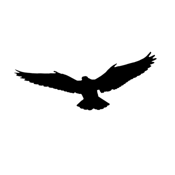 Flying bird silhouette png