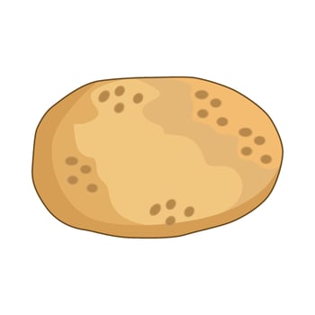 illustration of potato vector