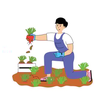 A farmer collecting fresh vegetables from the field. vector