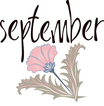 Set Lettering of Month. Handwritten modern black outline. English name of the month year September. vector