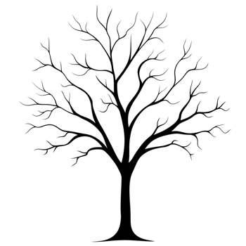 Silhouette of a large bare tree with sprawling branches isolated on a transparent background png