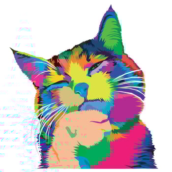 colorful cat head icon pop art vector