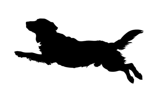 Jumping Dog Silhouette Black Clipart vector