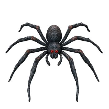 a black spider with red eyes on a transparent background png