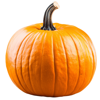 Bright orange pumpkin ready for fall decoration transparent png
