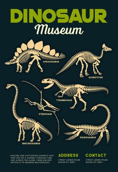 Dinosaurs museum poster with prehistoric dino vector