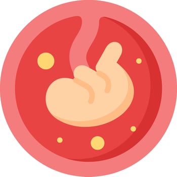 An illustration of a stomach with a baby inside vector