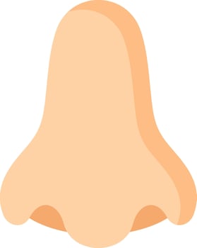 A cartoon nose with a long nose vector