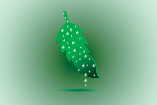 Leaf logo design. Environment logo. vector