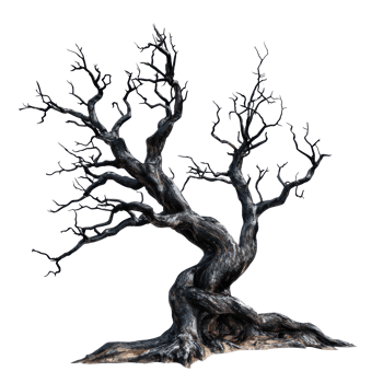 a dead tree on a transparent background png