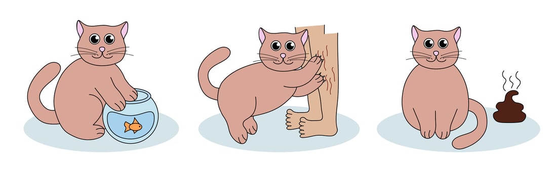 Set of problem with cat behavior. Kitten scratches, goes to the toilet, fishing. Cute hand drawn flat illustration. vector