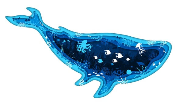 Paper cut whale silhouette, underwater landscape vector