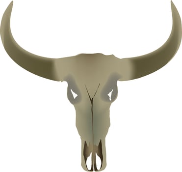Animal skull with big horns pointing upwards vector