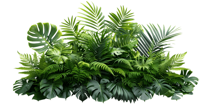 A vibrant collection of green plants with various leaf shapes, AI-Generateds png