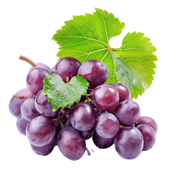 Fresh purple grapes with green leaves on a transparent background, showcasing their natural shine and healthy appearance in daylight png