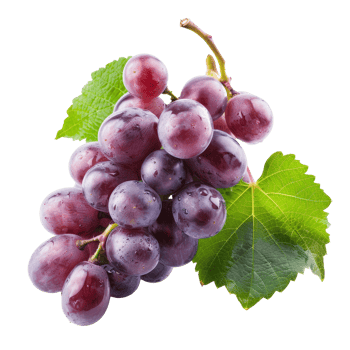 Fresh purple grapes with dew drops and green leaves on a transparent background showcasing their juicy texture and natural beauty png