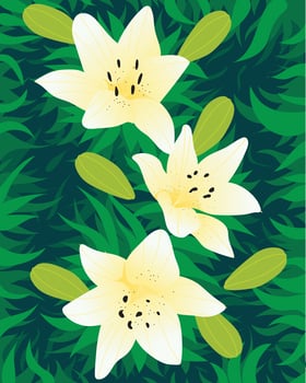 lily flower with leaf background. illustration background vector