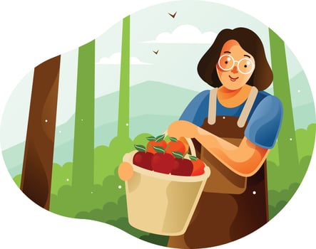 Harvest fruit from the garden vector