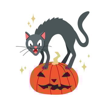 Halloween cat on the pumpkin icon clipart avatar logtotype isolated illustration vector