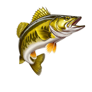 A Jumping Walleye Fish png
