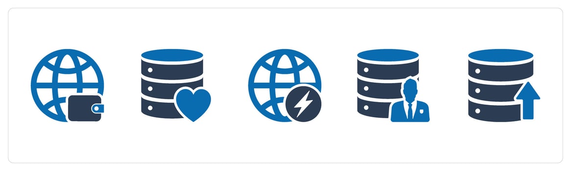 A set of 5 Internet icons as global wallet, favorite server, global vector